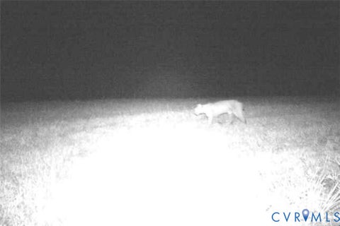 Tiny photo for 0 Anderson Highway, Powhatan, VA 23139 (MLS # 2625747)