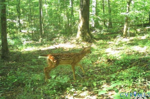 Tiny photo for 0 Anderson Highway, Powhatan, VA 23139 (MLS # 2625747)