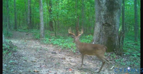 Tiny photo for 0 Anderson Highway, Powhatan, VA 23139 (MLS # 2625747)