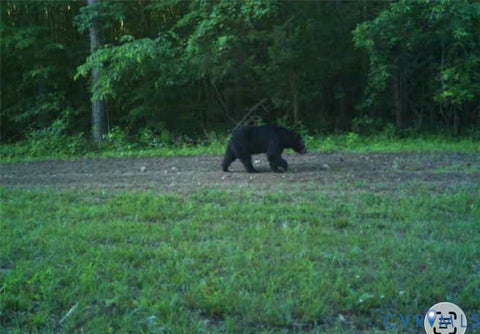 Tiny photo for 0 Anderson Highway, Powhatan, VA 23139 (MLS # 2625747)