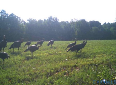 Tiny photo for 0 Anderson Highway, Powhatan, VA 23139 (MLS # 2625747)