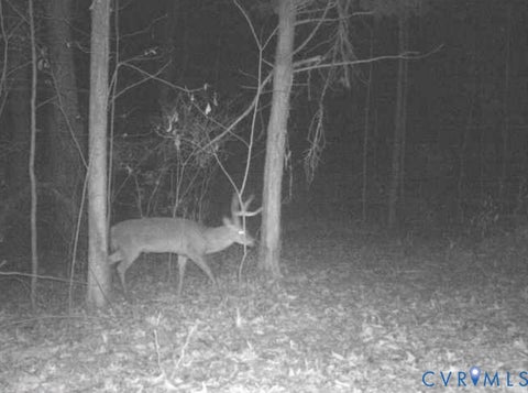 Tiny photo for 0 Anderson Highway, Powhatan, VA 23139 (MLS # 2625747)