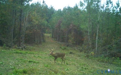 Tiny photo for 0 Anderson Highway, Powhatan, VA 23139 (MLS # 2625747)