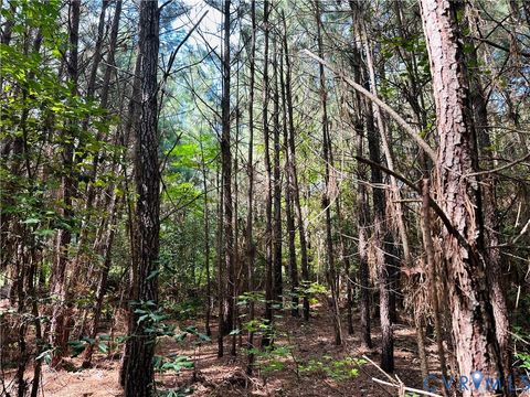 Tiny photo for 00 Parcel B Turnpike Rd, Bohannon, VA 23021 (MLS # 2602688)