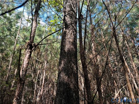 Tiny photo for 00 Parcel B Turnpike Rd, Bohannon, VA 23021 (MLS # 2602688)