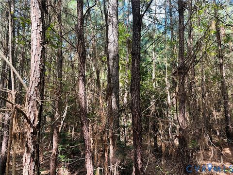 Tiny photo for 00 Parcel B Turnpike Rd, Bohannon, VA 23021 (MLS # 2602688)