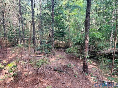 Tiny photo for 00 Parcel B Turnpike Rd, Bohannon, VA 23021 (MLS # 2602688)