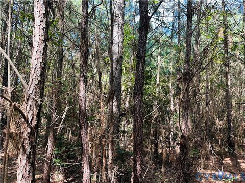 Tiny photo for 00 Parcel B Turnpike Rd, Bohannon, VA 23021 (MLS # 2602688)