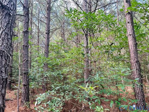 Tiny photo for 00 Parcel B Turnpike Rd, Bohannon, VA 23021 (MLS # 2602688)