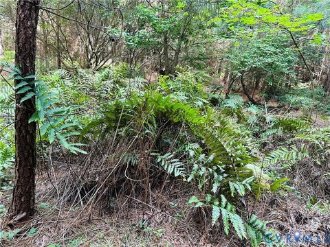 Tiny photo for 00 Parcel B Turnpike Rd, Bohannon, VA 23021 (MLS # 2602688)