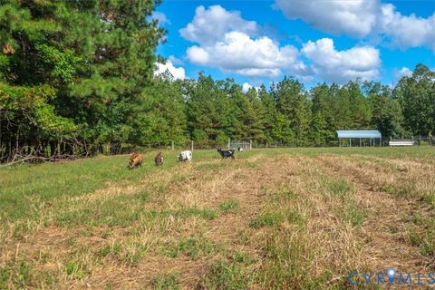 Tiny photo for 18030 River Road, Chesterfield, VA 23838 (MLS # 2527983)