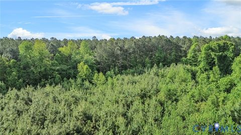 Tiny photo for TBD Boydton Plank Road, Dinwiddie, VA 23841 (MLS # 2609778)