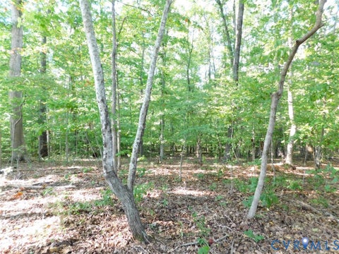 Tiny photo for 201 Deer Run RUN, Farmville, VA 23901 (MLS # 2626546)