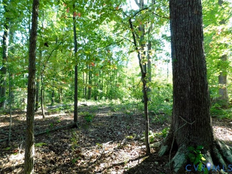 Tiny photo for 201 Deer Run RUN, Farmville, VA 23901 (MLS # 2626546)