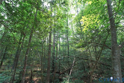 Tiny photo for 6147 Belfield Road, La Crosse, VA 23950 (MLS # 2619897)