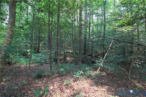 Tiny photo for 6147 Belfield Road, La Crosse, VA 23950 (MLS # 2619897)