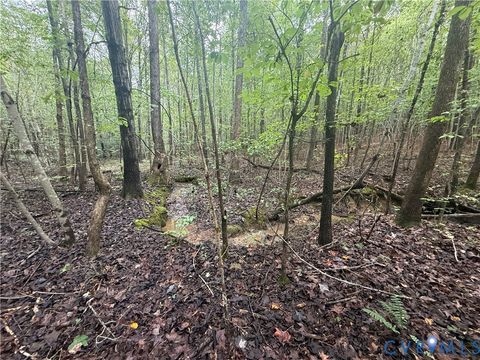 Tiny photo for 13.52 Westpoint Stevens Road, Drakes Branch, VA 23937 (MLS # 2528673)