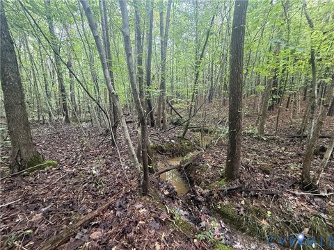 Tiny photo for 13.52 Westpoint Stevens Road, Drakes Branch, VA 23937 (MLS # 2528673)