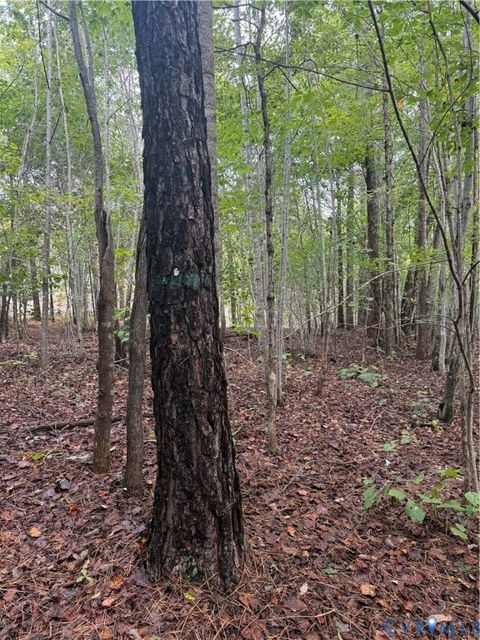 Tiny photo for 13.52 Westpoint Stevens Road, Drakes Branch, VA 23937 (MLS # 2528673)