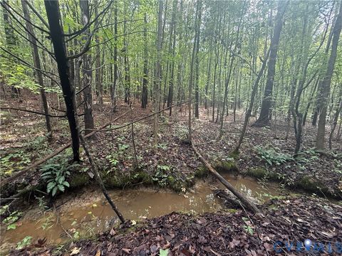 Tiny photo for 13.52 Westpoint Stevens Road, Drakes Branch, VA 23937 (MLS # 2528673)