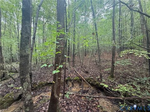 Tiny photo for 13.52 Westpoint Stevens Road, Drakes Branch, VA 23937 (MLS # 2528673)