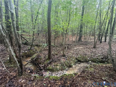 Tiny photo for 13.52 Westpoint Stevens Road, Drakes Branch, VA 23937 (MLS # 2528673)