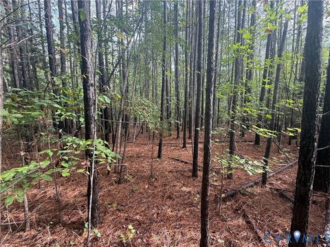 Tiny photo for 13.52 Westpoint Stevens Road, Drakes Branch, VA 23937 (MLS # 2528673)