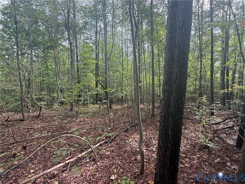 Tiny photo for 13.52 Westpoint Stevens Road, Drakes Branch, VA 23937 (MLS # 2528673)
