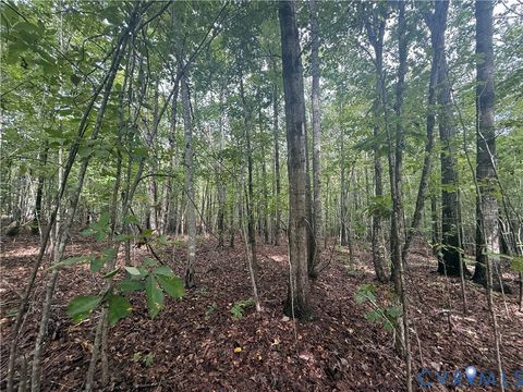 Tiny photo for 13.52 Westpoint Stevens Road, Drakes Branch, VA 23937 (MLS # 2528673)