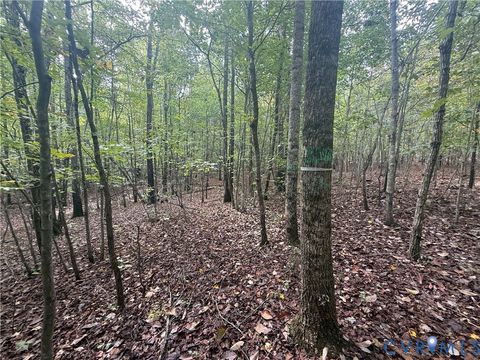 Tiny photo for 13.52 Westpoint Stevens Road, Drakes Branch, VA 23937 (MLS # 2528673)