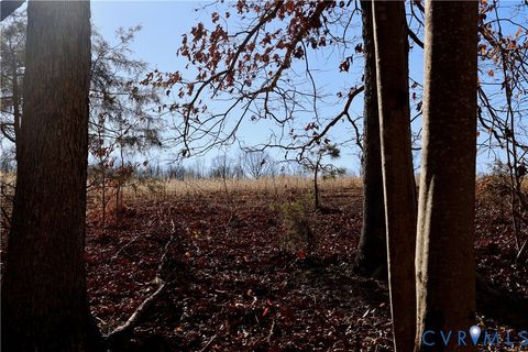 Tiny photo for 00 Bradley Creek Road, Nathalie, VA 24577 (MLS # 2533411)