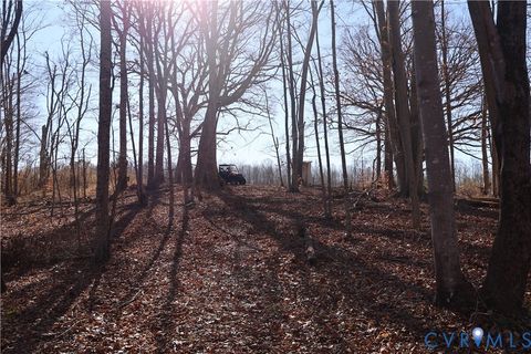 Tiny photo for 00 Bradley Creek Road, Nathalie, VA 24577 (MLS # 2533411)