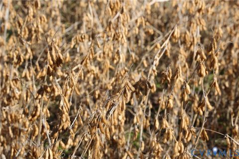 Tiny photo for 00 Bradley Creek Road, Nathalie, VA 24577 (MLS # 2533411)