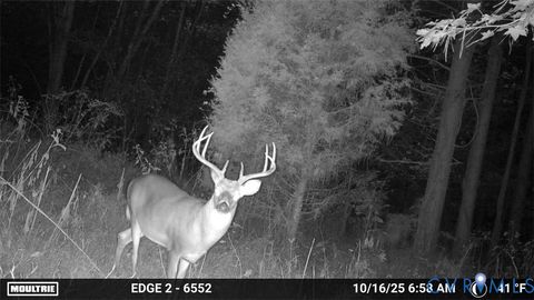 Tiny photo for 00 Bradley Creek Road, Nathalie, VA 24577 (MLS # 2533411)