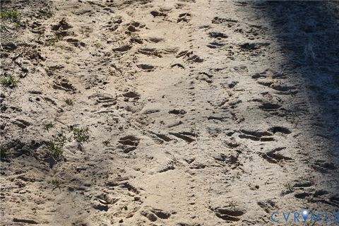 Tiny photo for 00 Bradley Creek Road, Nathalie, VA 24577 (MLS # 2533411)