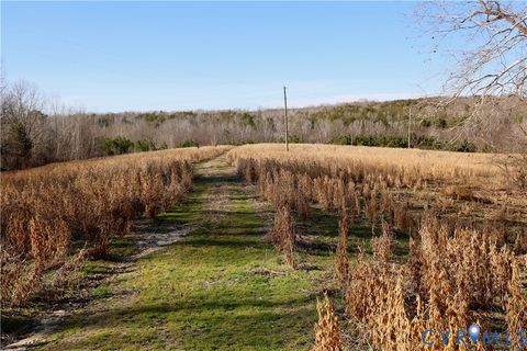 Tiny photo for 00 Bradley Creek Road, Nathalie, VA 24577 (MLS # 2533411)