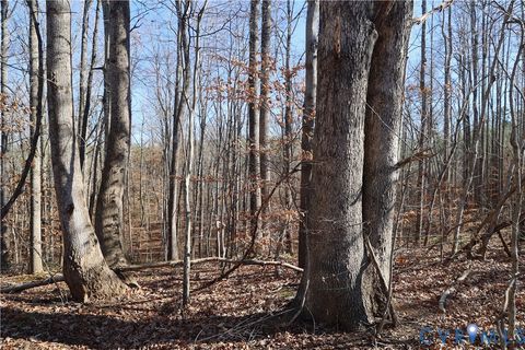 Tiny photo for 00 Bradley Creek Road, Nathalie, VA 24577 (MLS # 2533411)