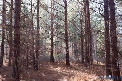 Tiny photo for 00 Bradley Creek Road, Nathalie, VA 24577 (MLS # 2533411)