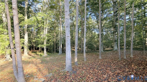 Photo of 12707 Gold Cup Trail, Manassas, VA 20112 (MLS # 2628199)