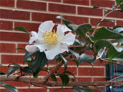 Tiny photo for 3369 Warner Road, Richmond, VA 23225 (MLS # 2525615)