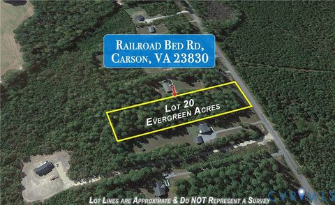 Tiny photo for Lot 20 Railroad Bed Road, Carson, VA 23830 (MLS # 2603494)