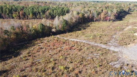Tiny photo for 27.35 Acres Prince Edward Highway, Rice, VA 23966 (MLS # 2529899)
