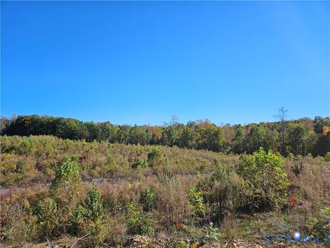 Tiny photo for 27.35 Acres Prince Edward Highway, Rice, VA 23966 (MLS # 2529899)