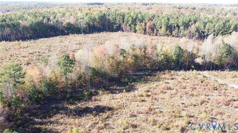 Tiny photo for 27.35 Acres Prince Edward Highway, Rice, VA 23966 (MLS # 2529899)