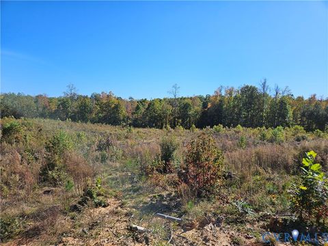 Tiny photo for 27.35 Acres Prince Edward Highway, Rice, VA 23966 (MLS # 2529899)