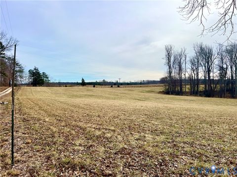 Tiny photo for 12440 Namozine Road, Amelia Courthouse, VA 23002 (MLS # 2604664)