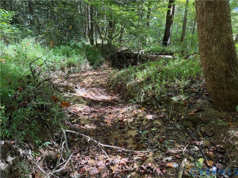Tiny photo for 11317 Sapony Church Rd RD, Mc Kenney, VA 23872 (MLS # 2625539)