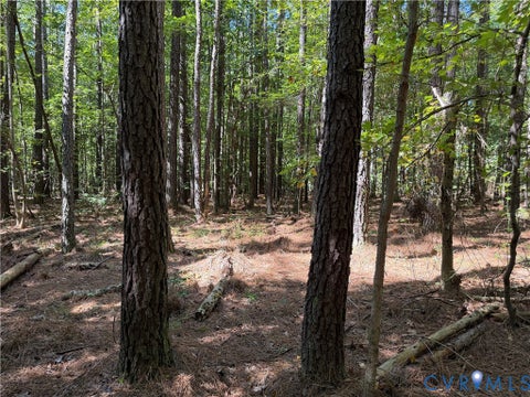 Tiny photo for 11317 Sapony Church Rd RD, Mc Kenney, VA 23872 (MLS # 2625539)