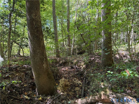 Tiny photo for 11317 Sapony Church Rd RD, Mc Kenney, VA 23872 (MLS # 2625539)