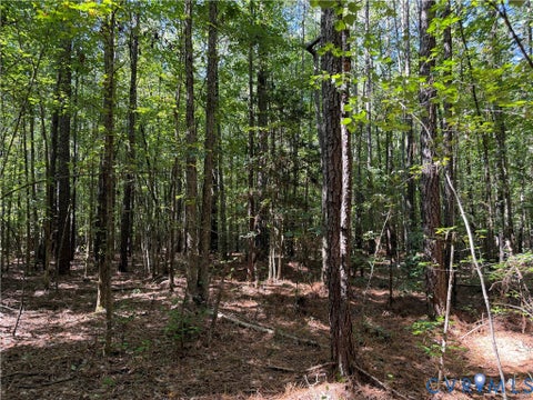 Tiny photo for 11317 Sapony Church Rd RD, Mc Kenney, VA 23872 (MLS # 2625539)